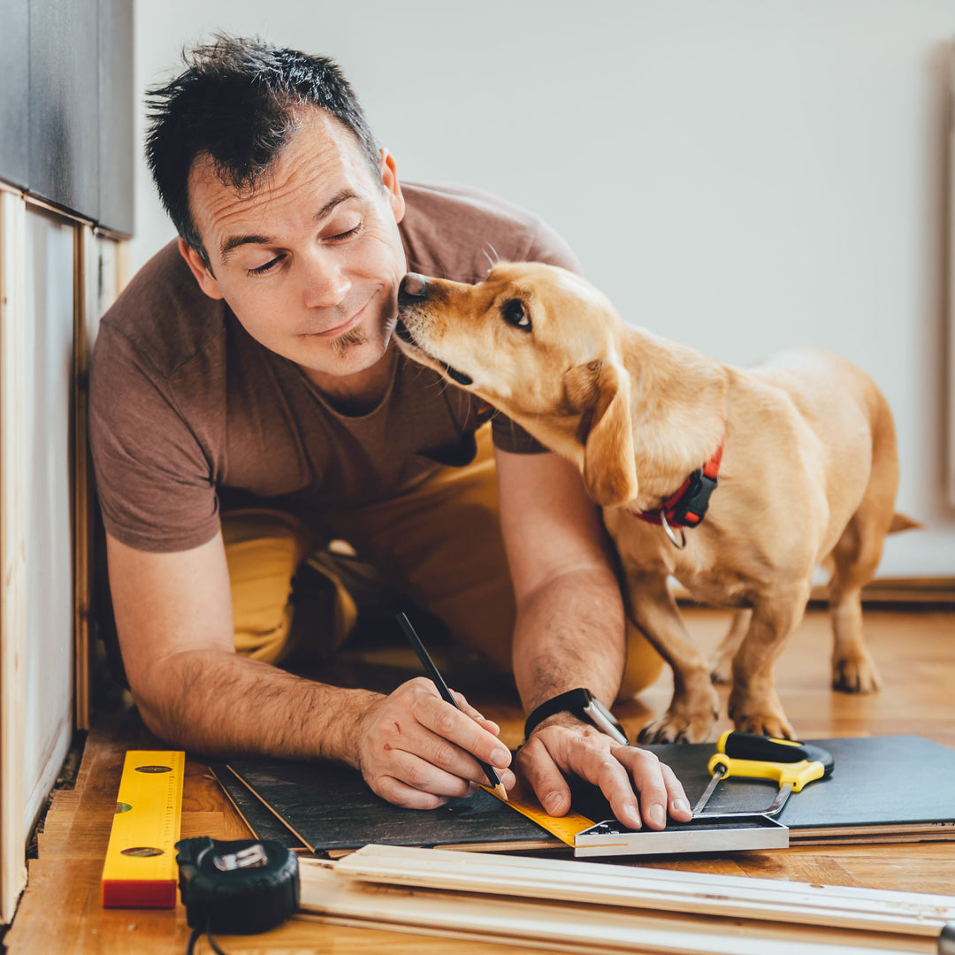 4 Pet Safety Tips For Arts and Crafts