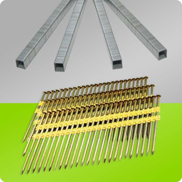 Pneumatic Staples & Nails